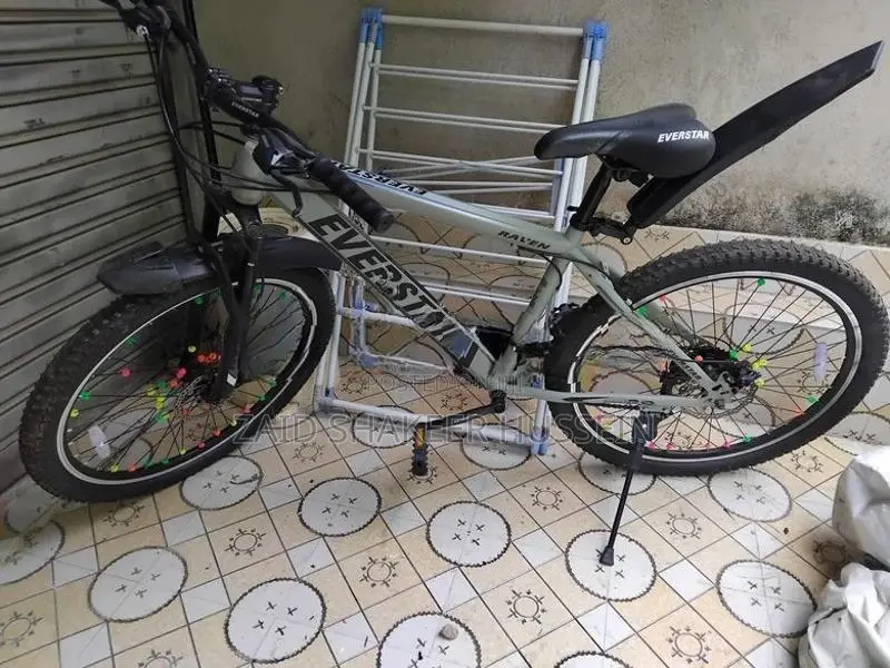 Everstar Bicycle