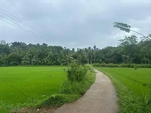 මාවනැල්ල නගරයෙන් ඉඩමක් විකිණීමට