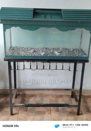 Fish Tank
