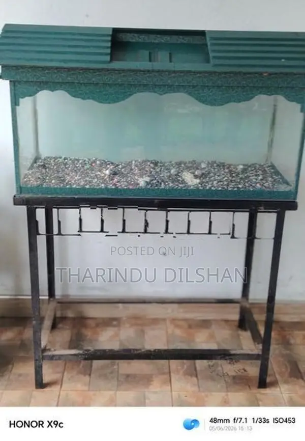 Fish Tank