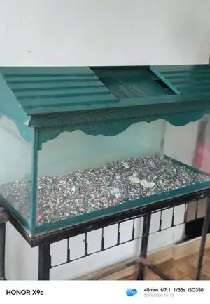 Fish Tank