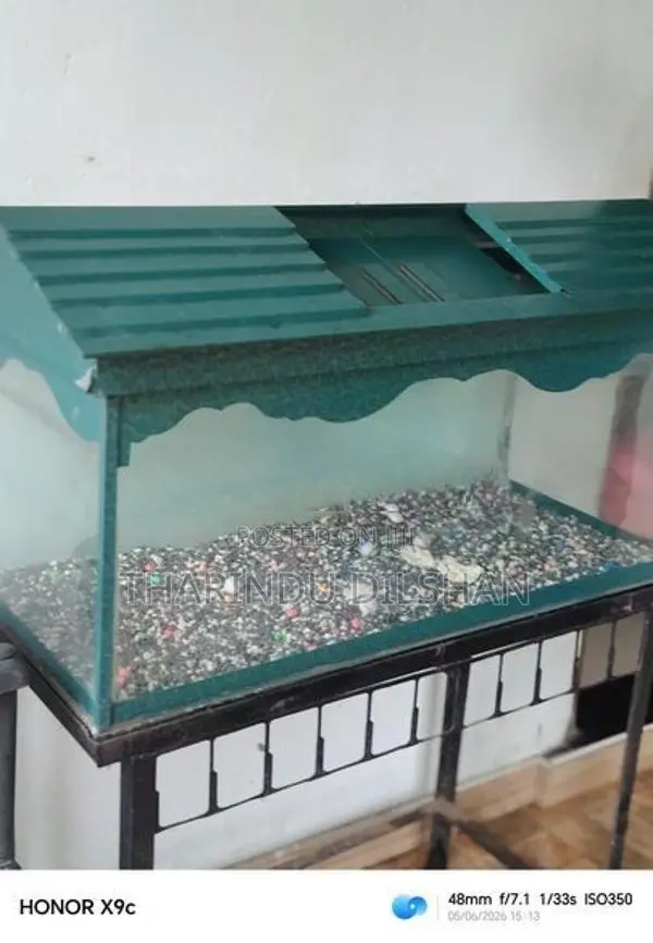 Fish Tank