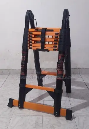 Extendable Ladder