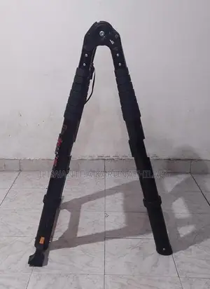Extendable Ladder