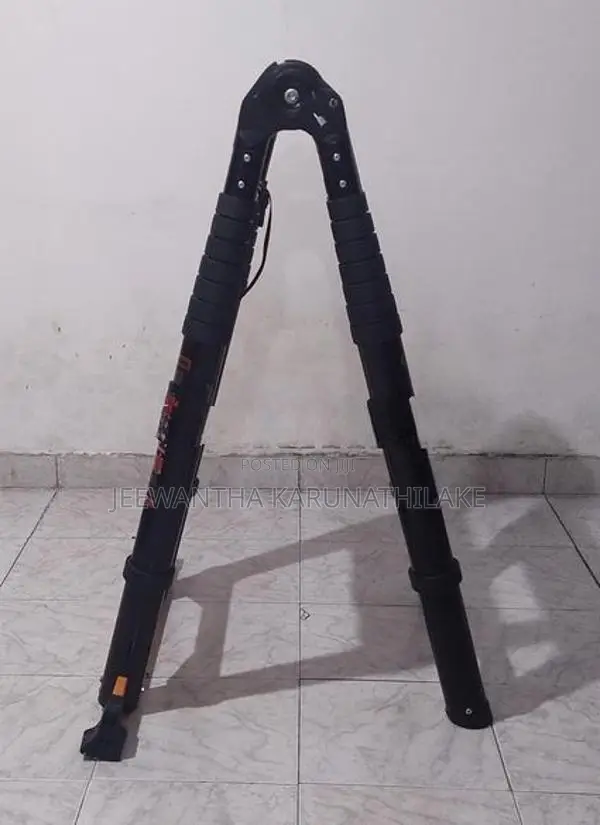 Extendable Ladder