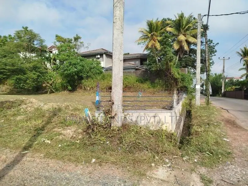 පිලියන්දල මඩපාත පාරෙන් බිම් කොටස් විකිණීමට