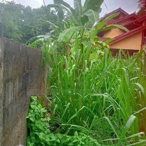 උතුරු බටගමින් පර්චස් 6 ක ඉඩම