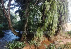 නිස්කලංකව වටපිටාවක, ගාල්ල පින්නදුව නගරයෙන් අගනා බිම් කොටස්