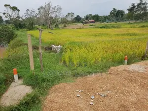 Land for Sale Mahaoya