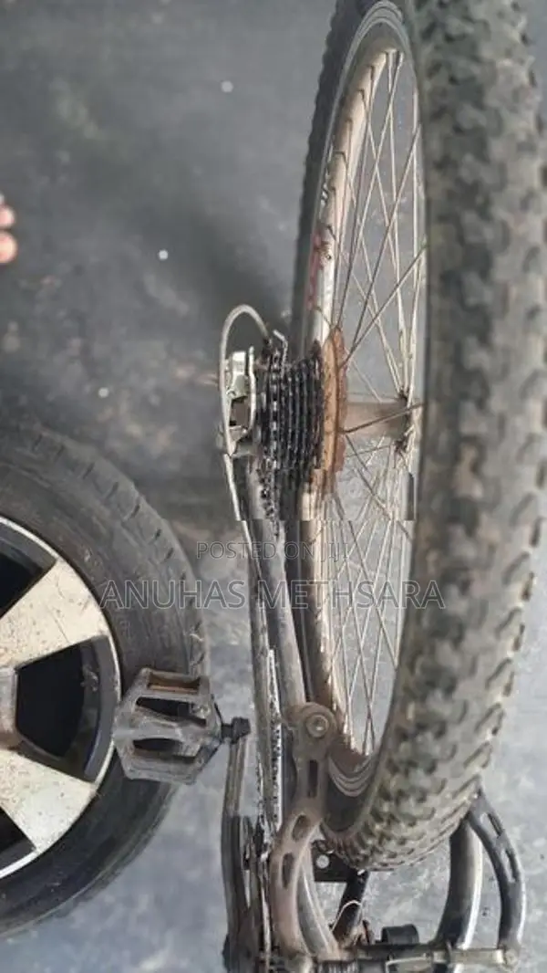 Bicycle