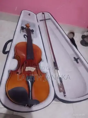 Violin