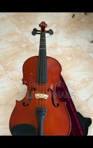 Violin