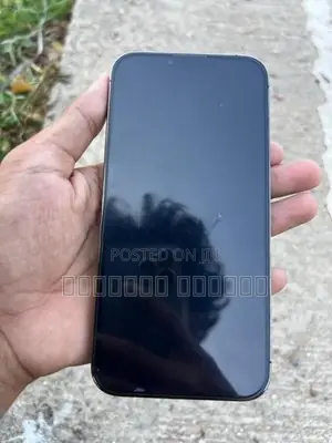 Apple iPhone 13 Pro Max 512GB (Used)