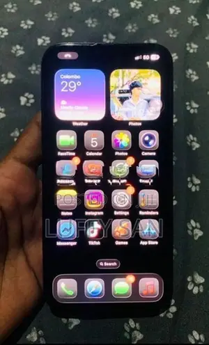 Apple iPhone 13 Pro 256GB (Used)
