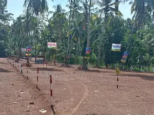 Land in Diuldeniya (colombo 5 Bus Rude)