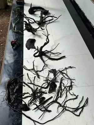 Aquarium Driftwood