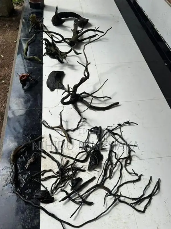 Aquarium Driftwood