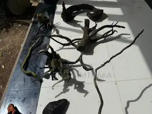 Aquarium Driftwood