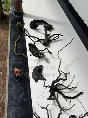 Aquarium Driftwood