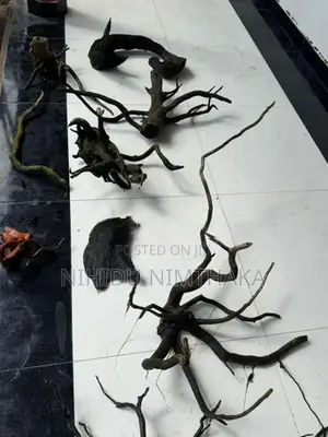 Aquarium Driftwood