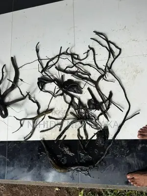 Aquarium Driftwood