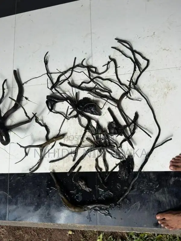 Aquarium Driftwood