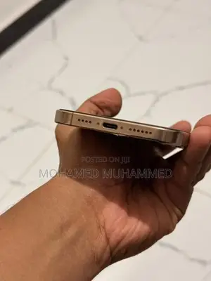 Apple iPhone 16 Pro Max (Used)