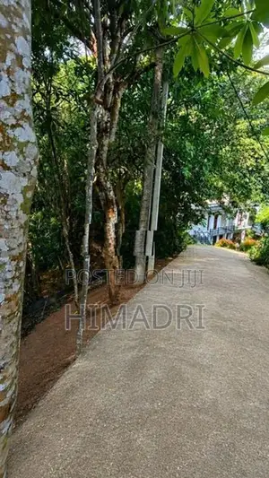 Valuable Land for Sale Near Peradeniya