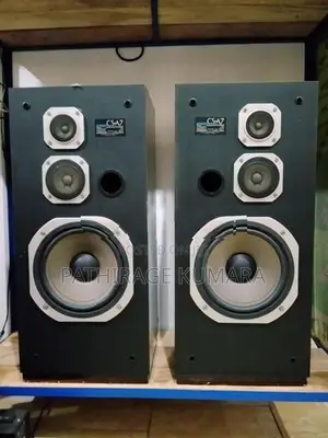 Pioneer Speaker