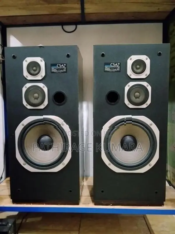 Pioneer Speaker
