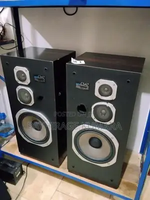 Pioneer Speaker