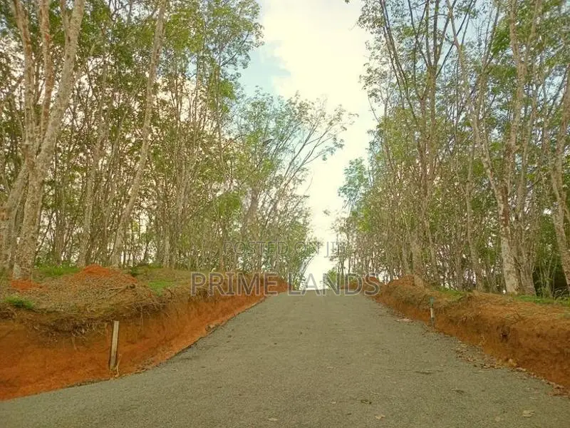 අහංගම සංචාරක කලාපයට ආසන්නව බිම් කොටස්