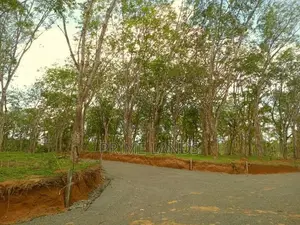 අහංගම සංචාරක කලාපයට ආසන්නව බිම් කොටස්