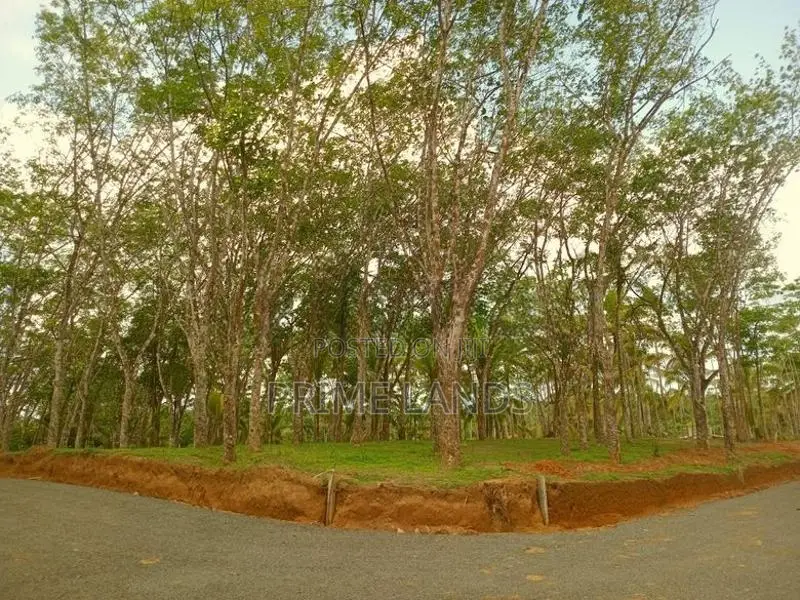 අහංගම සංචාරක කලාපයට ආසන්නව බිම් කොටස්