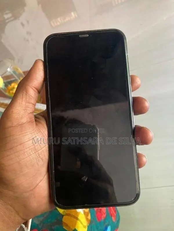 Apple iPhone 12 Pro Max (Used)