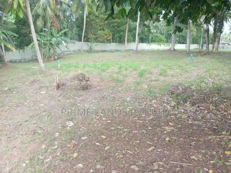 Land for Sale Facing the Bolgoda River