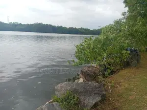 Land for Sale Facing the Bolgoda River