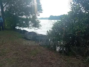 Land for Sale Facing the Bolgoda River