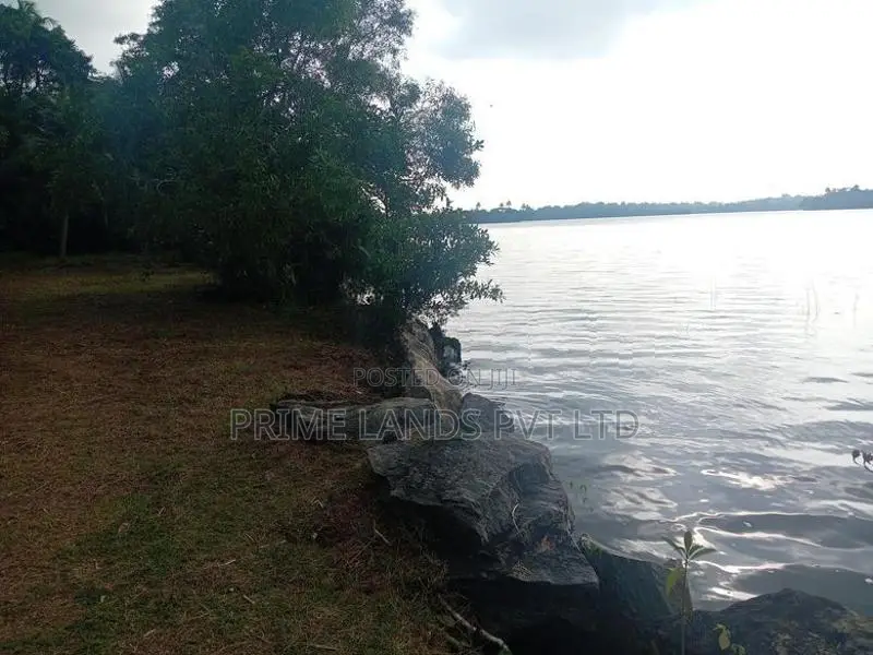 Land for Sale Facing the Bolgoda River
