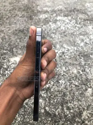 Apple iPhone 13 Pro (Used)