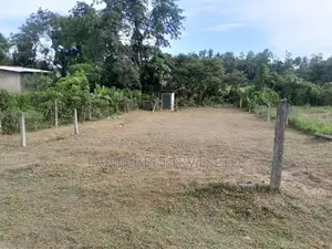 Land for Sale in Homagama
