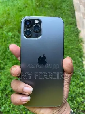Apple iPhone 12 Pro Max (Used)