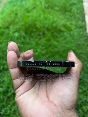 Apple iPhone 12 Pro Max (Used)