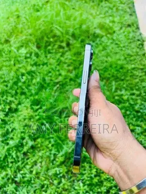 Apple iPhone 12 Pro Max (Used)