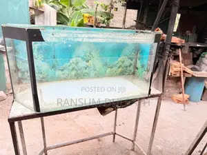 Fish Tank