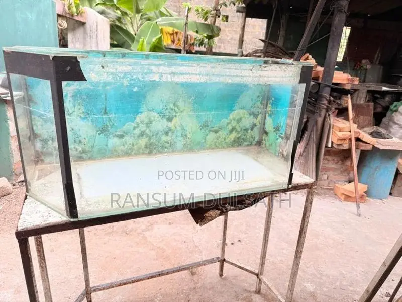 Fish Tank