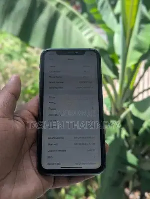Apple iPhone 11 (Used)