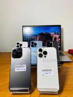 Apple iPhone 13 Pro 256GB (Used)