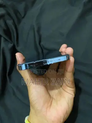 Apple iPhone 13 Pro Max (Used)