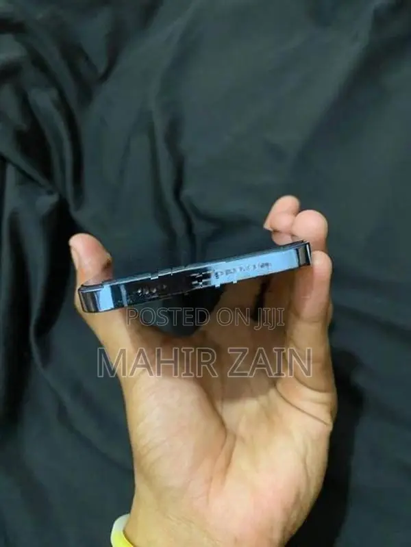 Apple iPhone 13 Pro Max (Used)